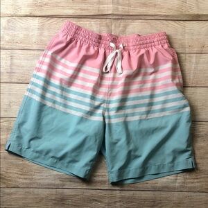 Chubbies "On the Horizons" Classic Lined Swim Trunk